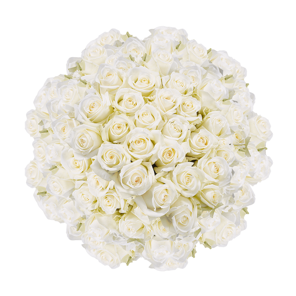 Bulk Off White Roses with a Creamy Yellow Center for Sale