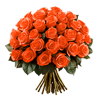 Qty of Solid Orange Color Roses For Delivery to Moline, Illinois
