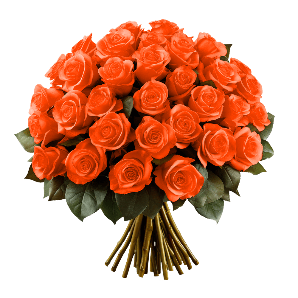 Qty of Solid Orange Color Roses For Delivery to Massachusetts, Local.Globalrose.Com