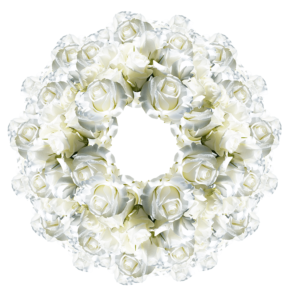 Bulk Pretty White Roses