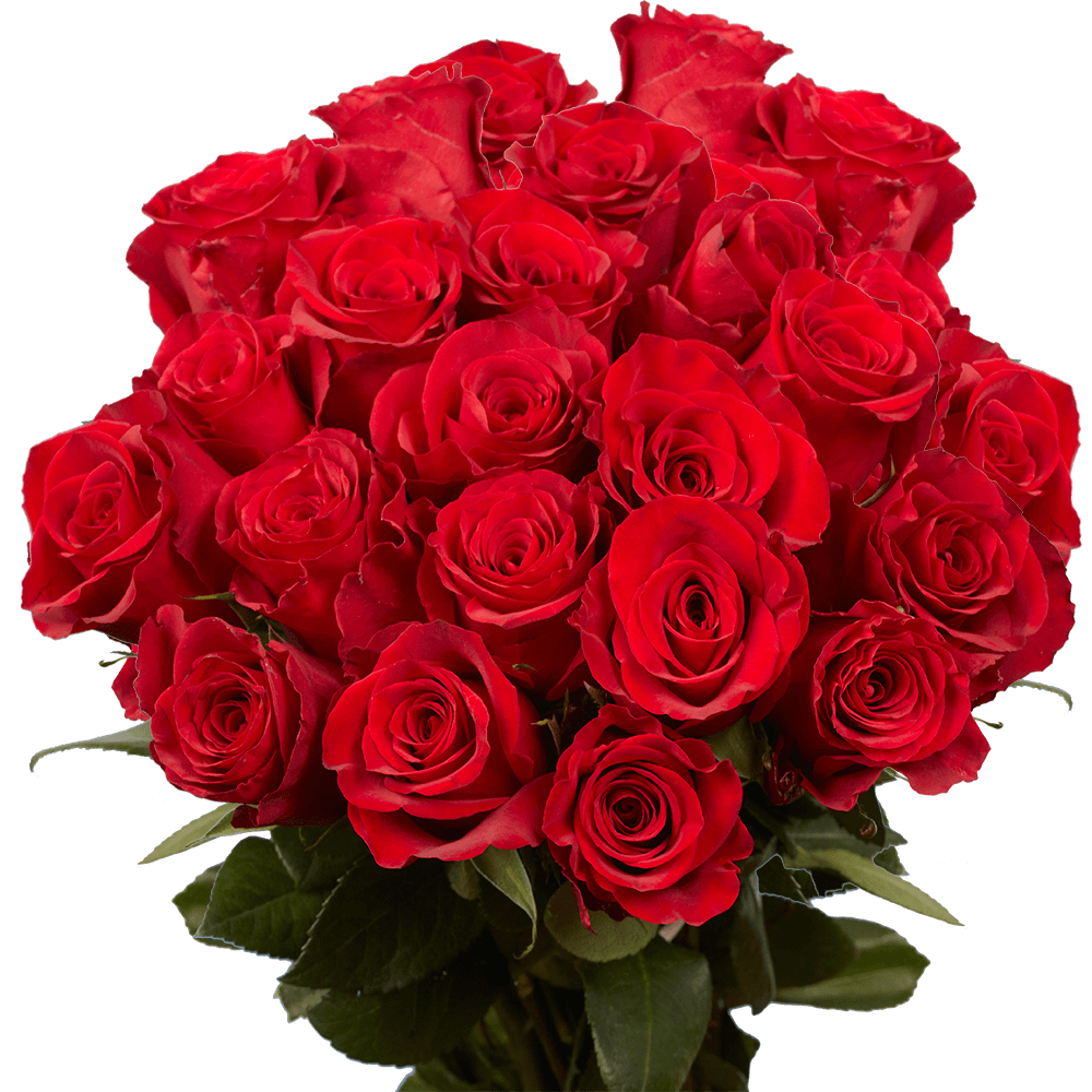 Bulk Red Roses Flowers