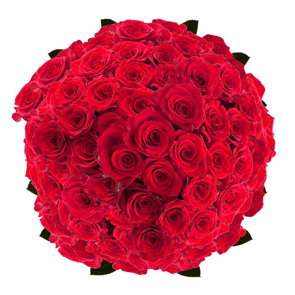 Bulk Red Roses