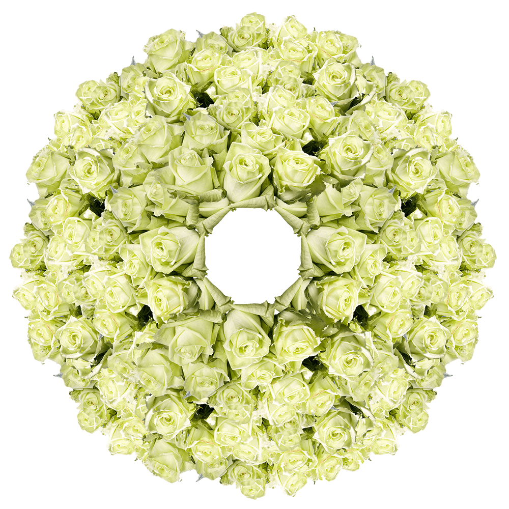 Bulk Solid Green Color Roses Flowers For Sale
