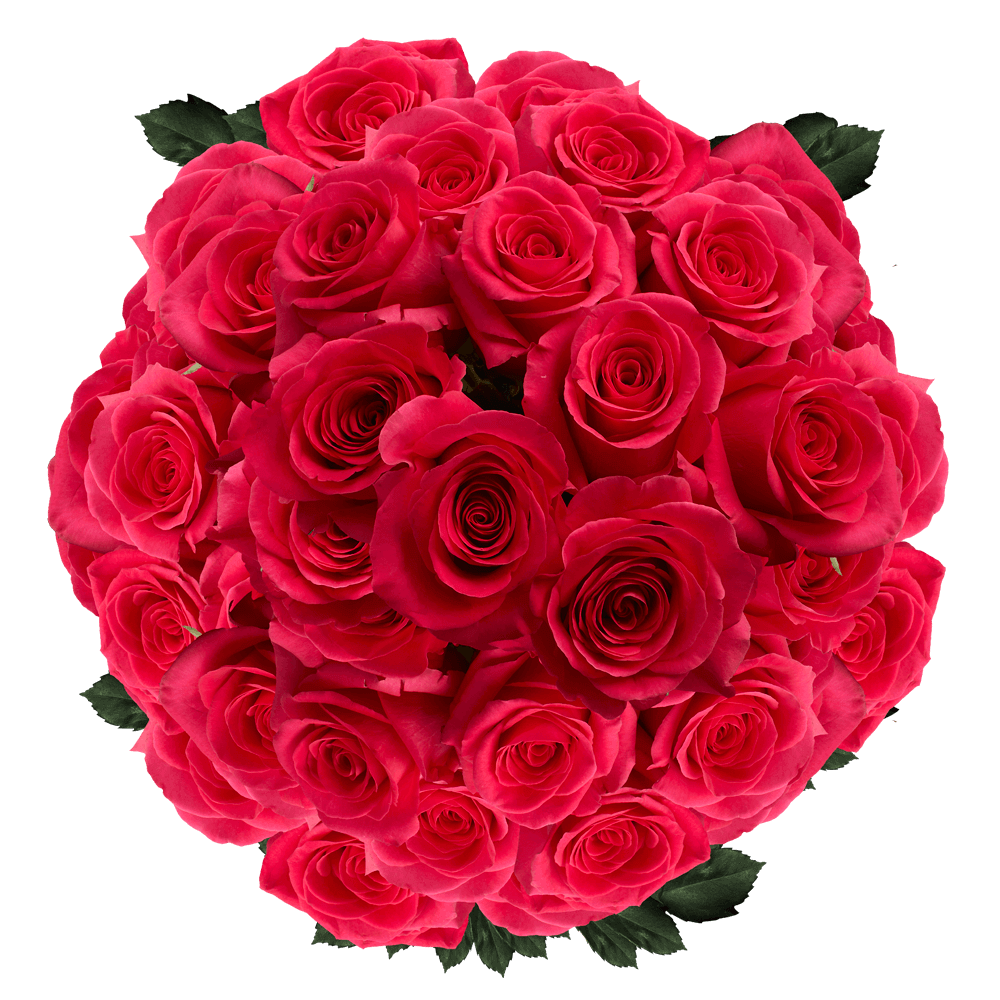 Bulk Solid Hot Pink Color Roses Flower Delivery