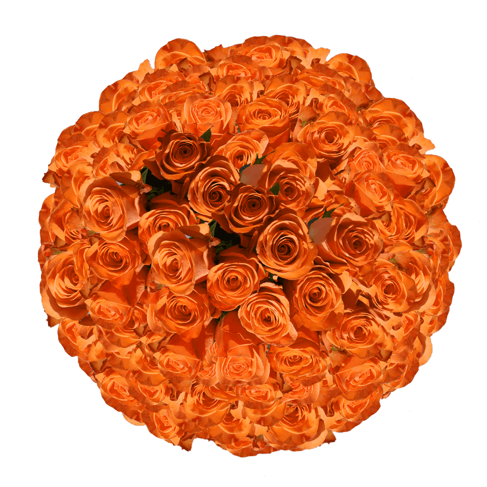 Bulk Solid Orange Rose Flowers For Sale