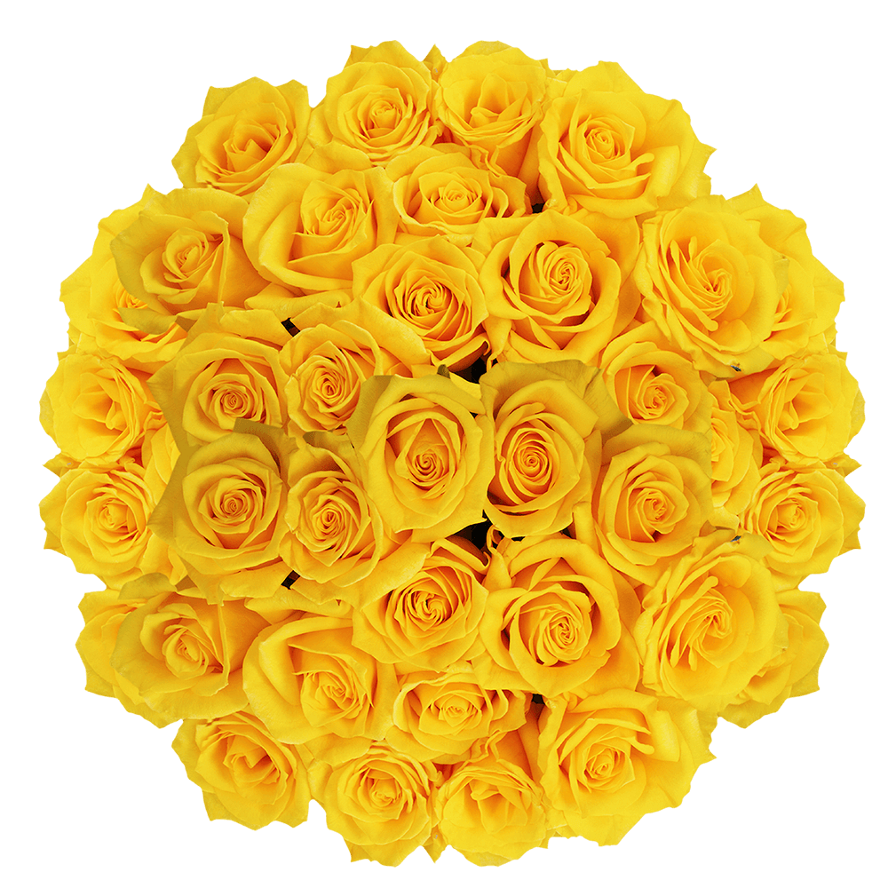 Bulk Solid Yellow Color Roses Flower Delivery