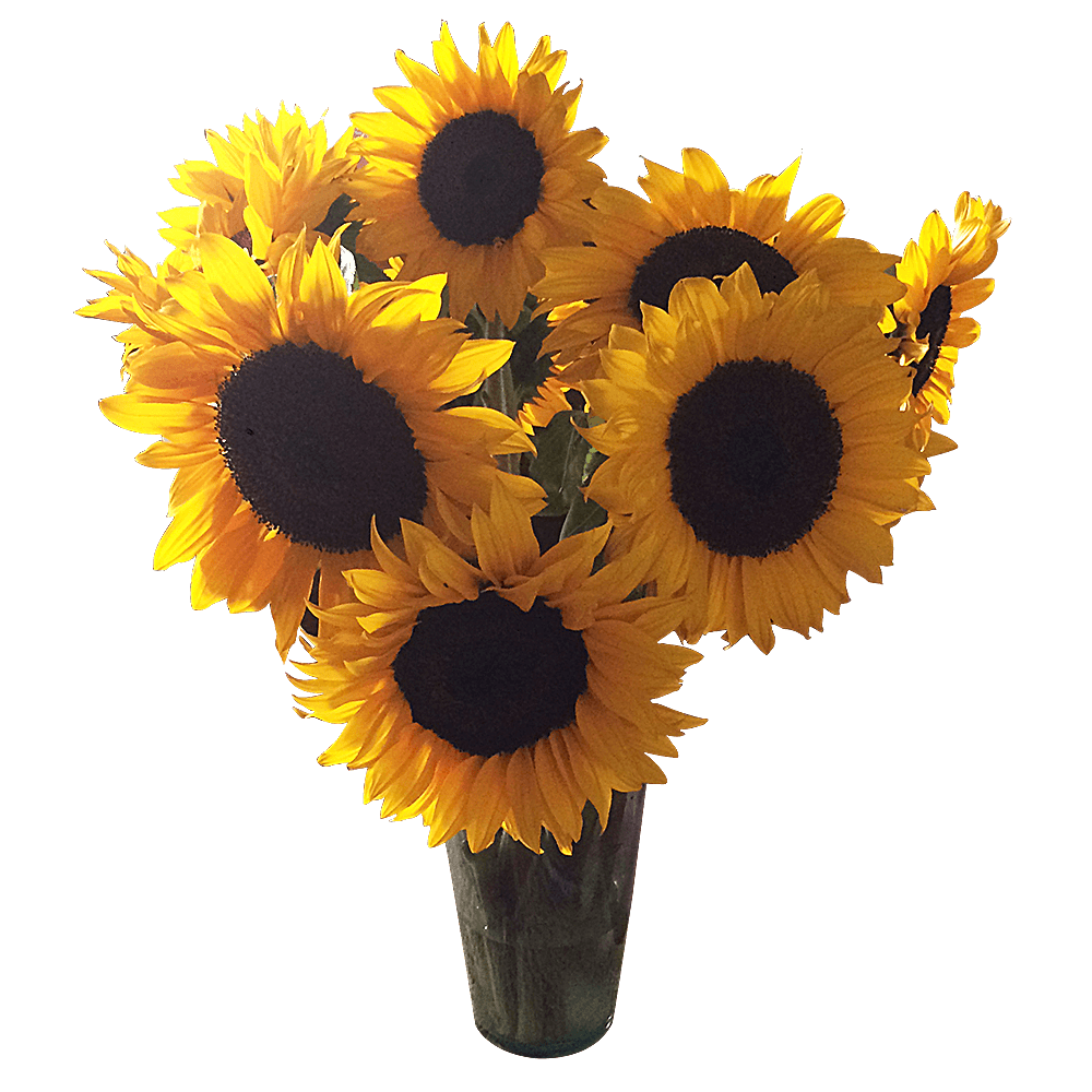 Wholesale Sunflowers Plastic To Decorate Your Environment 