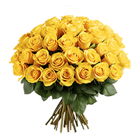Qty of Solid Yellow Color Roses For Delivery to North_Bergen, New_Jersey