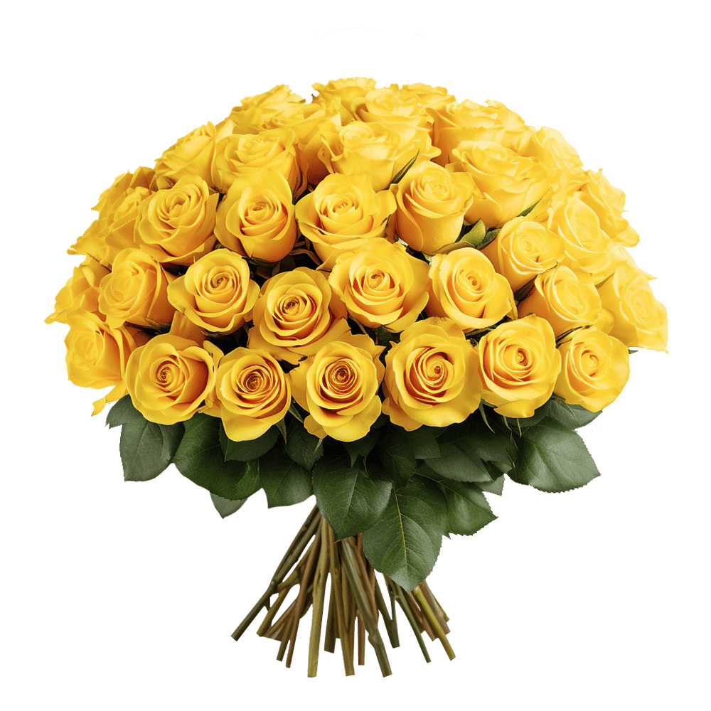 Qty of Solid Yellow Color Roses For Delivery to Vermont, Local.Globalrose.Com