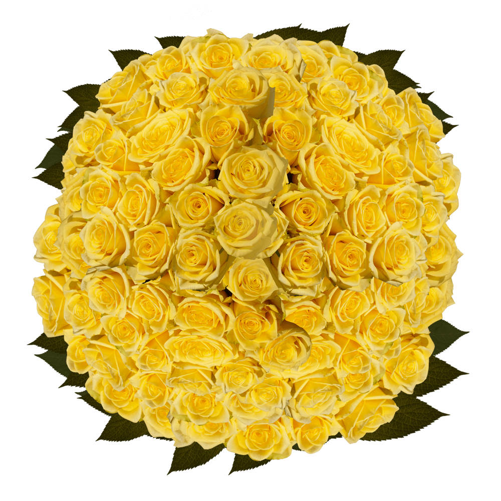 Bulk Yellow Roses Florist