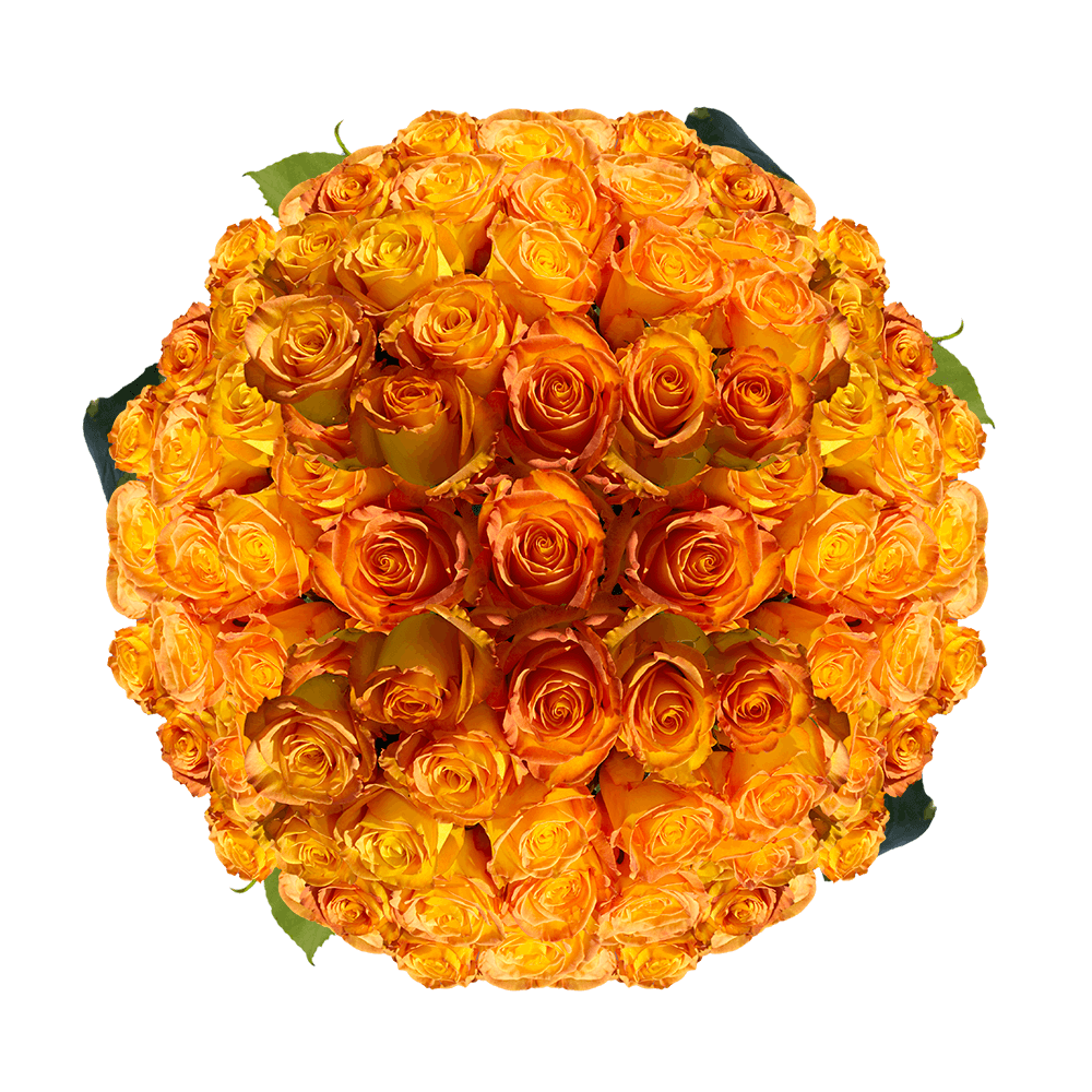 Bulk Yellow Roses with Orange Tips