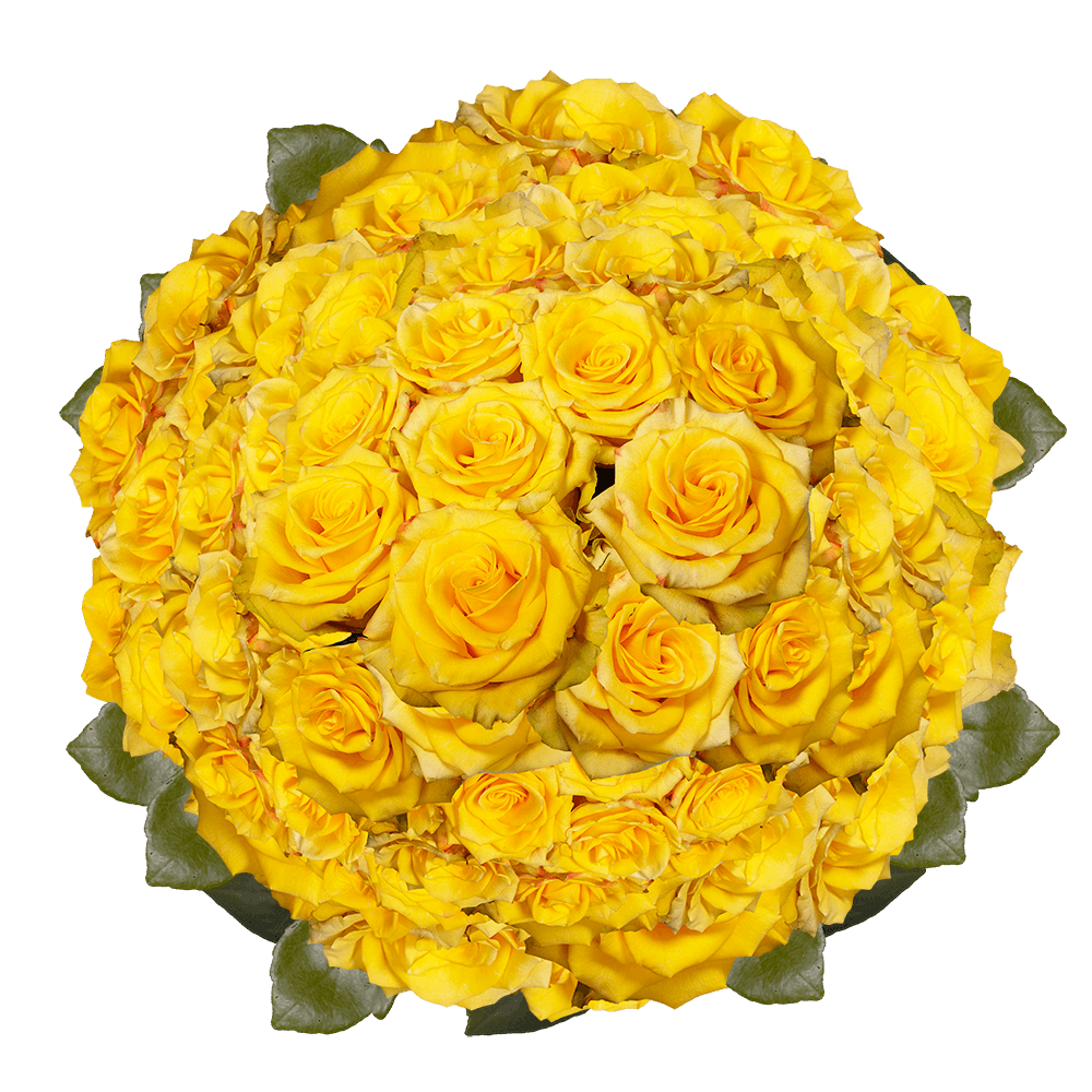 Bulk Yellow Roses with Red Petals for Sale