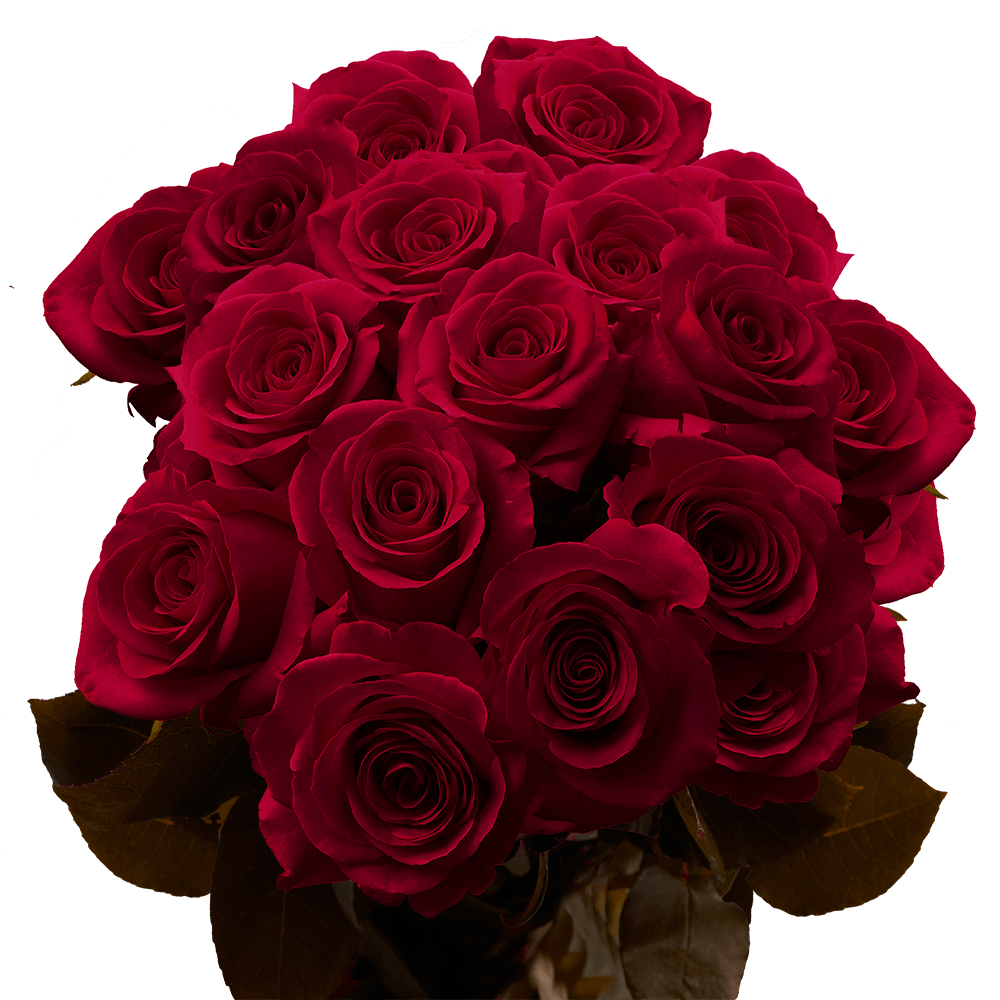 Burgundy Roses Low Prices Online