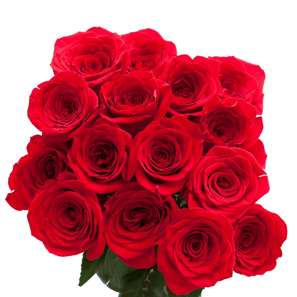 (OC)Rose Sht Mothers Day Red 2 Bunches For Delivery to Lake_Charles, Louisiana