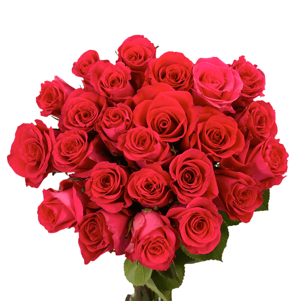 Buy 50 Stems of Red Valentine's Roses
