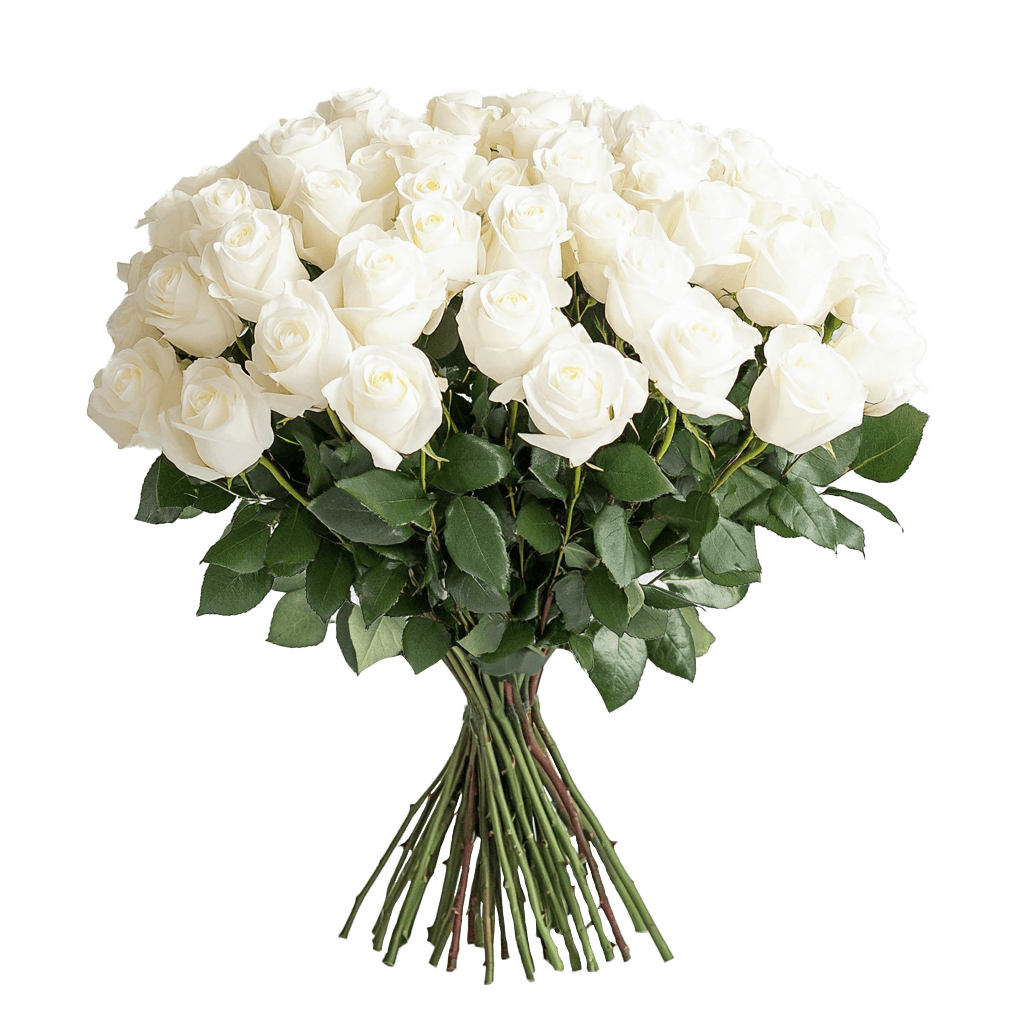 Next Day Roses