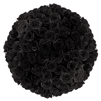 Rose Sht D-02 Black 250 (HB) 10 Bunches For Delivery to Destin, Florida