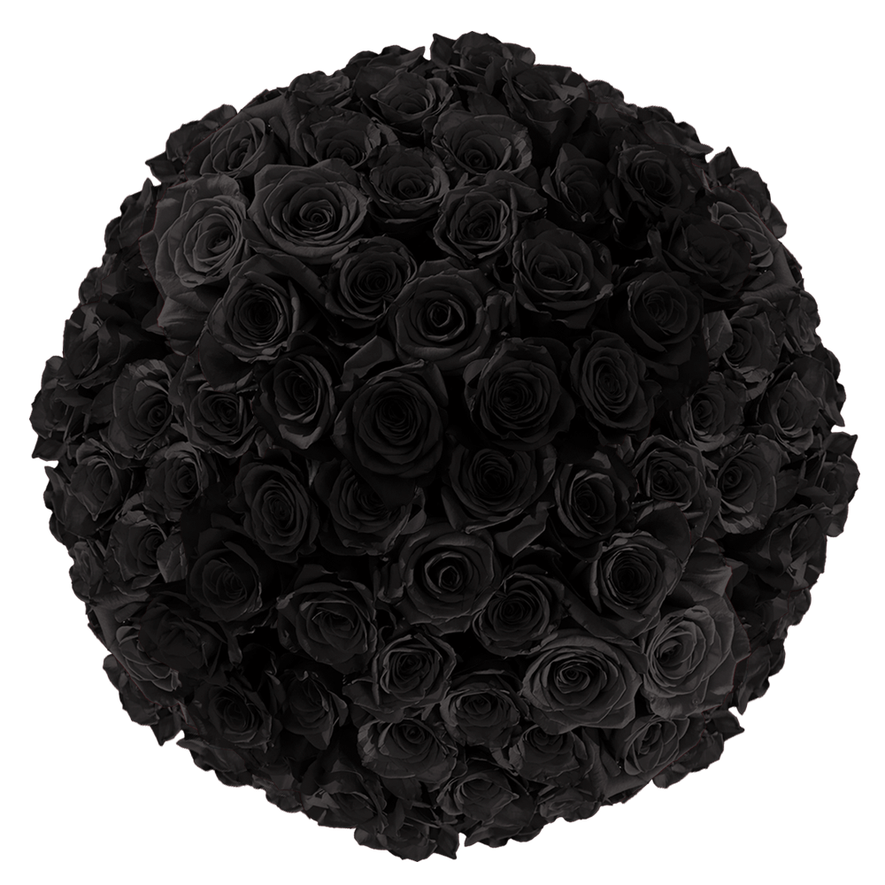 Buy Black Bulk Roses Discount Prices