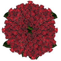 (HB) Rose Sht Black Baccara For Delivery to West_Virginia