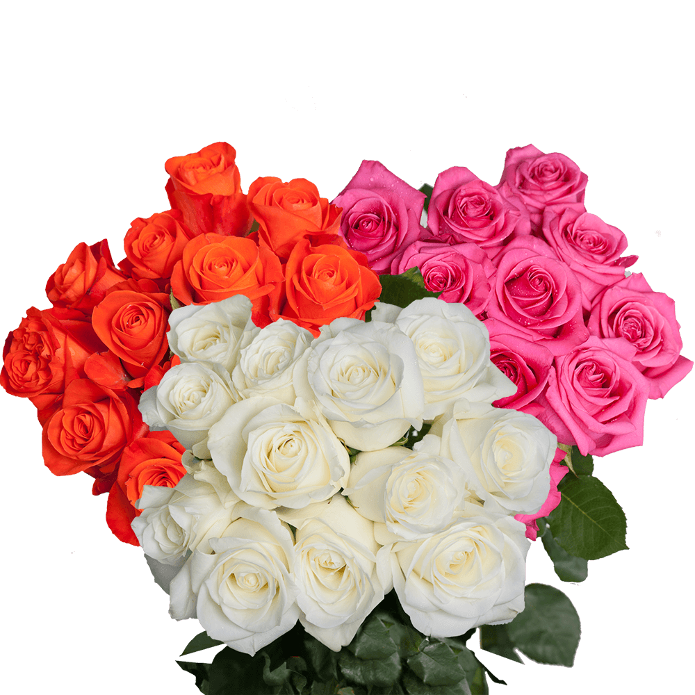 Buy Dozens of Assorted Colors of Elegant Roses