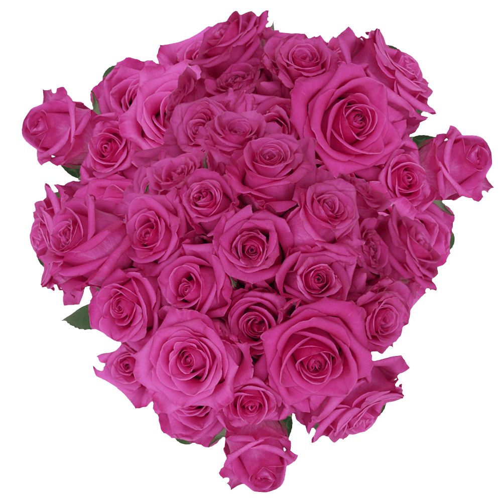 Buy Hot Pink Roses Flowers Online