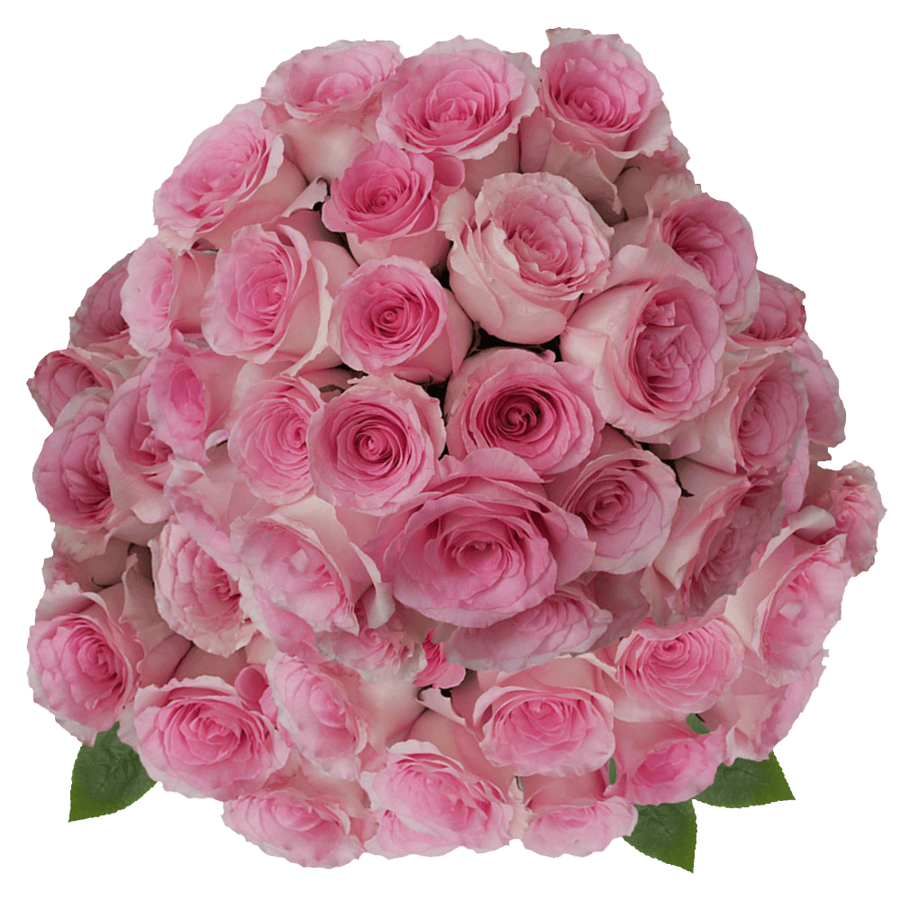 Buy Light Pink Champagne Mandala Roses Flower Delivery