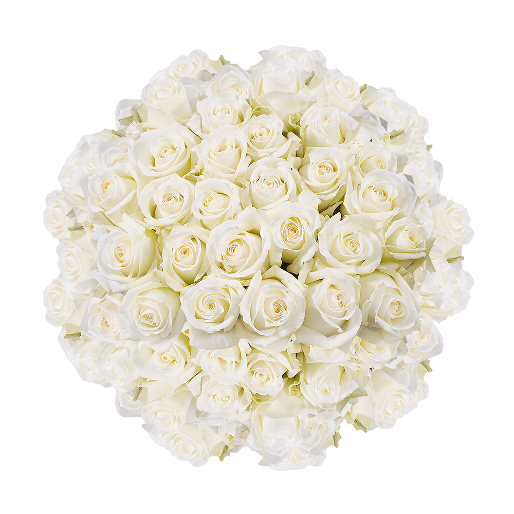 Buy Long Stem Off White Roses with a Creamy Yellow Center
