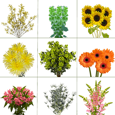 240 Stems of Your Choice Novelty Combo Pack Flowers