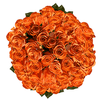 (HB) Rose Long Orange For Delivery to North_Dakota