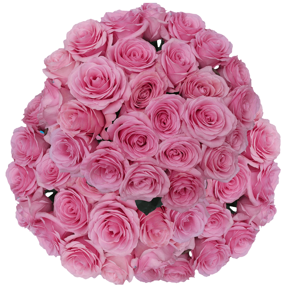 (QB) Rose Med Pink Saga For Delivery to Silver_Spring, Maryland