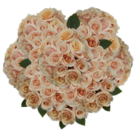 (HB) Rose Sht Mother of Pearl 250 Stems 10 Bunches For Delivery to Fort_Wayne, Indiana