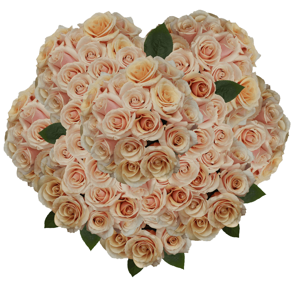 Buy Roses Soft Light Pink Flowers For Sale Online