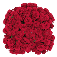 Rose Sht Escarlata 250 Stems (HB) 10 Bunches For Delivery to Pasadena, Texas