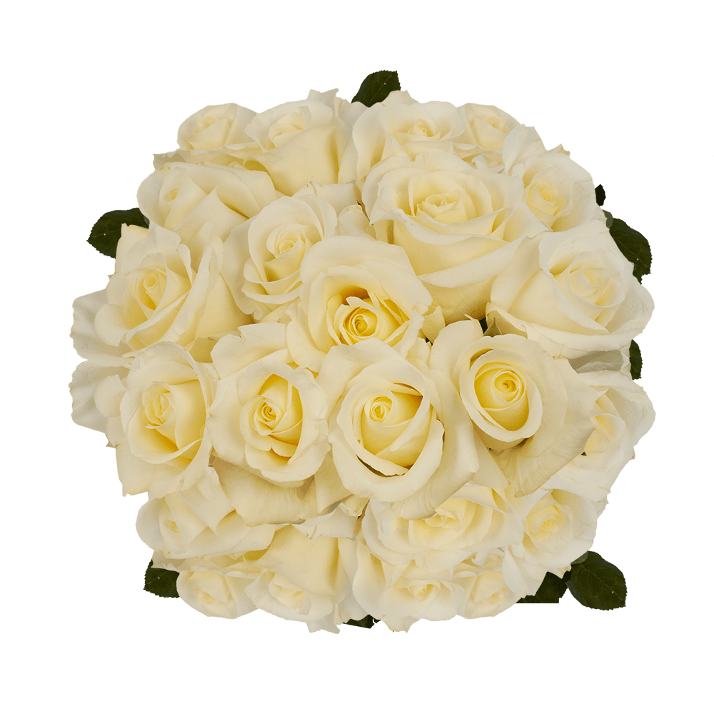 Buy White Wedding Roses