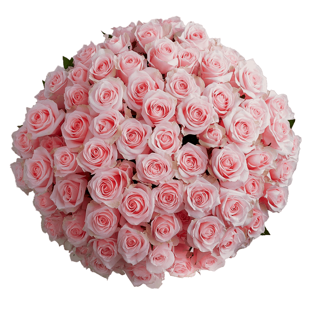 Sending Cheap Flowers Online
