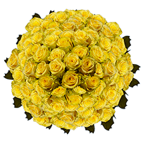 250 Stems of Light Yellow, Yokohama Roses
