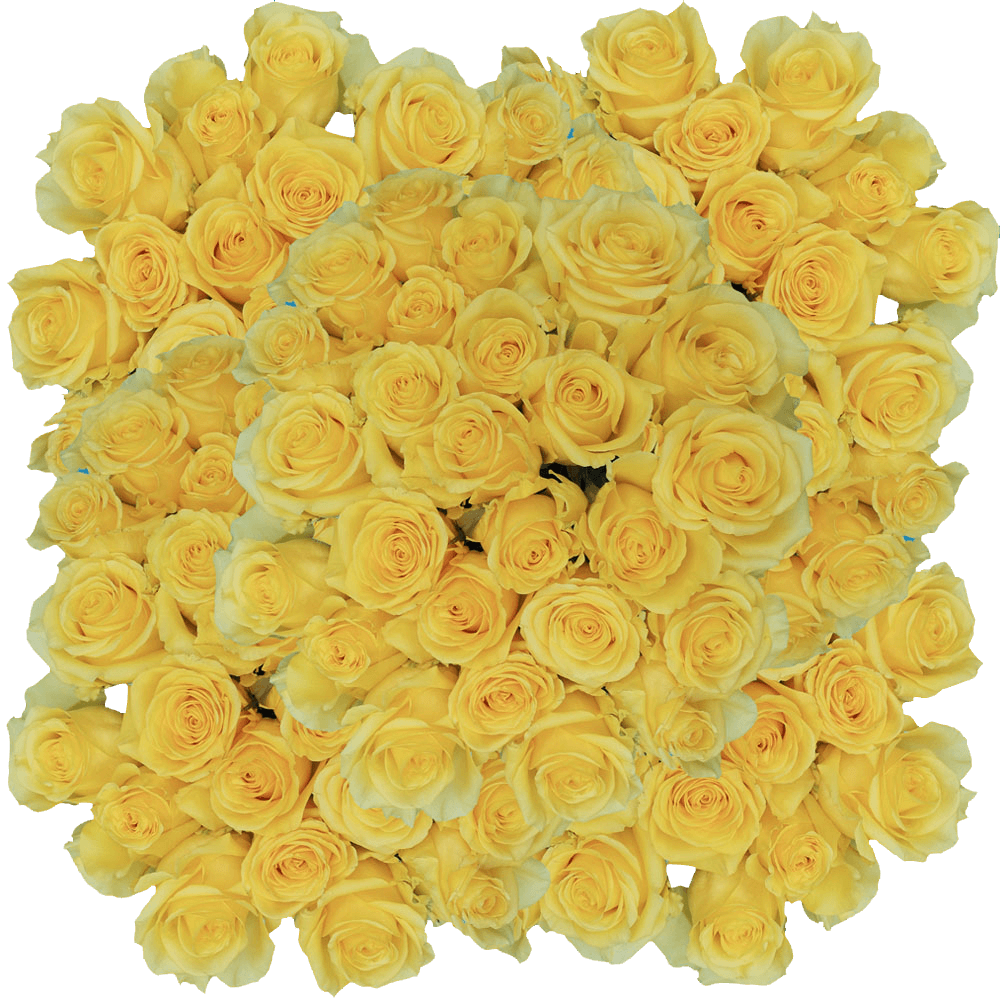 (HB) Rose Med Yellow King For Delivery to Punta_Gorda, Florida