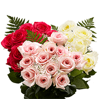 (QB) Dozen Long Roses DC: (Gypso and Green)