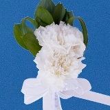 2-cr-carn-white