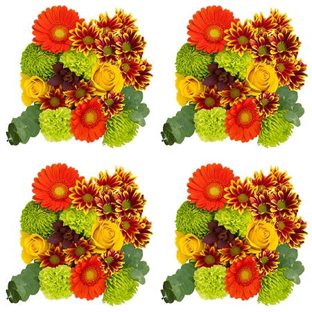 (QB) Arrangement Changing Colors