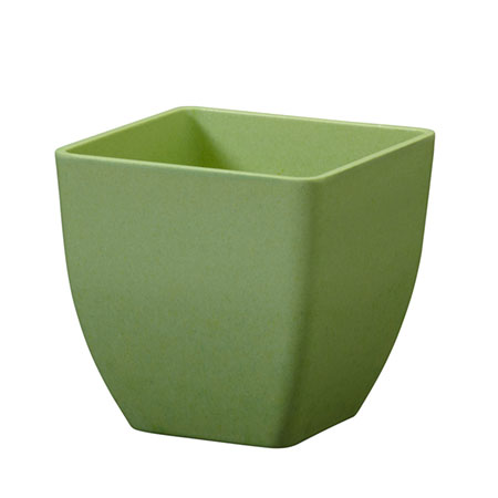 (OASIS) 3-1/2 ECOssentials Cube, Celery - 45-83303