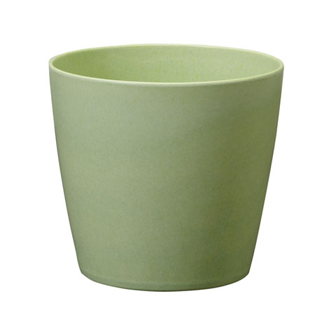 (OASIS) 5 ECOssentials Cylinder, Celery - 45-83503