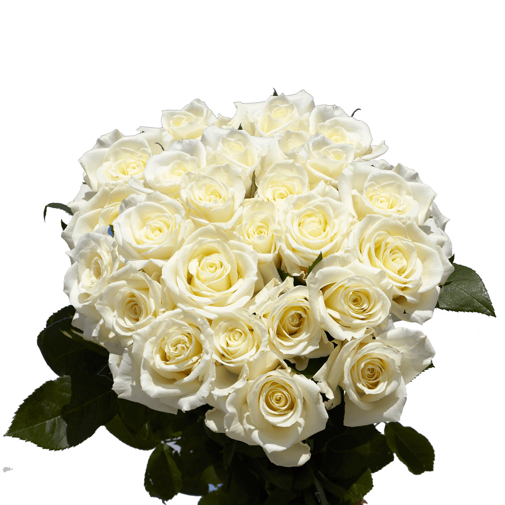 Cheap Flowers For Mother's Day White Roses