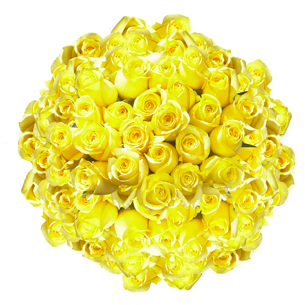 Cheap Lemon Yellow Roses