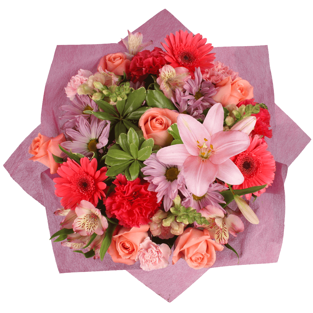 Cheap Mothers Day Flowers Pink Carnations Roses Lavender Daisies