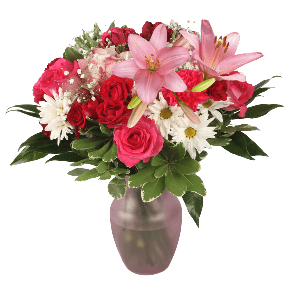 Cheap Mothers Day Rose Arrangements Pink Roses Red Carnations