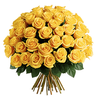 (OC) Rose Sht Yellow 2 Bunches For Delivery to Brevard, North_Carolina