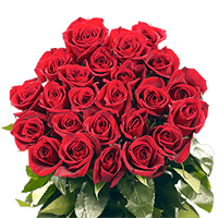 (HB) Rose Long Red Roses For Delivery to Greenville, North_Carolina