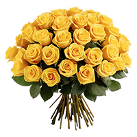 (OC) Rose Sht Yellow 2 Bunches For Delivery to Rogers, Arkansas