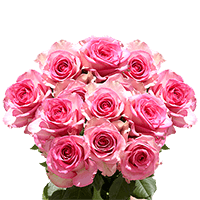 (OC) Roses Sht Pink 2 Bunches For Delivery to West_Chester, Pennsylvania